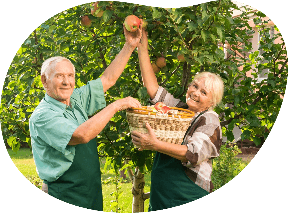 Senior couple enjoying outdoor activities pain-free after gel injection treatment